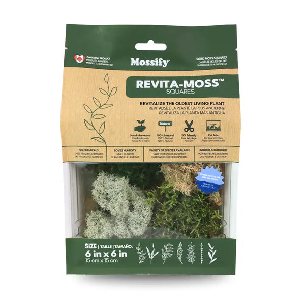 Revita-Moss Mixed Pack – 4 Species of Live / Dormant Moss - - Mossify - Wild Lark