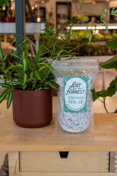 Litf Perlite - Chunky - 24 oz - Lost in the Forrest - Wild Lark