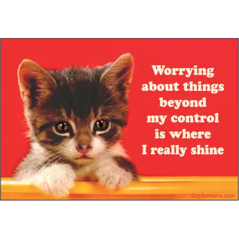 Magnets - Worrying About Things Beyond My Control - Ephemera - Wild Lark