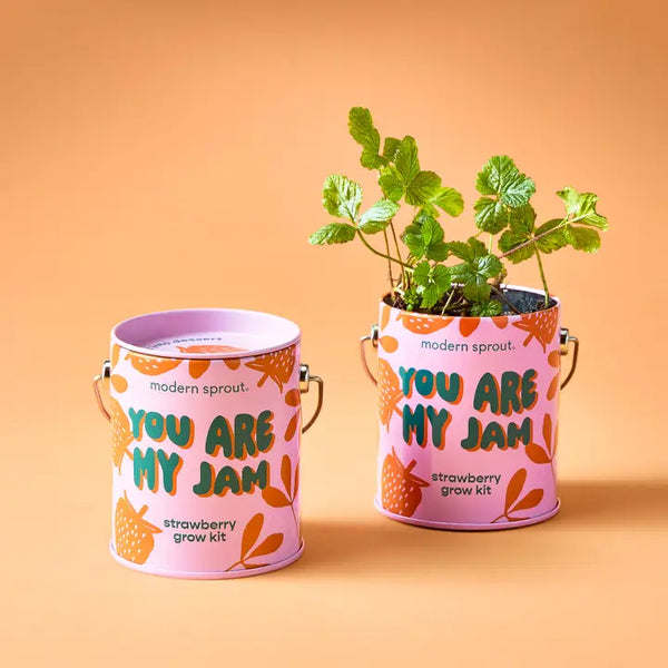 Complimentary Color Grow Kits - - Wild Lark - Wild Lark