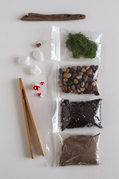 Diy Terrarium | Glass Plant Terrarium Kit -  - The Plant Supply - Wild Lark