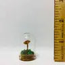 Mushroom Curiosity Jar Real Fungi Curio - 1908 - Fungus Farm - Wild Lark