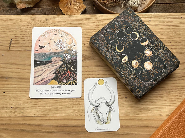 Phases and Forests Oracle Deck -  - Kat Ryalls - Wild Lark
