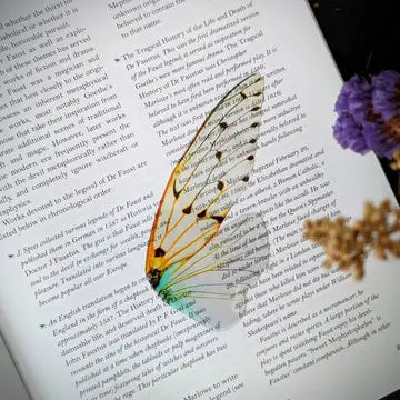 Clear Bookmark - Ghost Cicada Wing - Dark Veinlet - Wild Lark