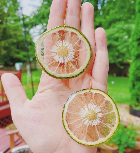 Handmade Earrings - Dried Lime Handmade Resin Earrings - Daisy Moon by Hillerland - Wild Lark