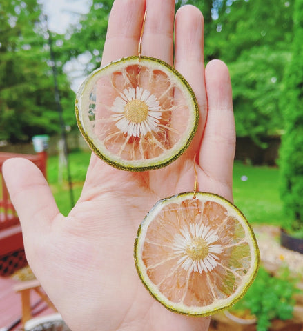 Handmade Earrings - Dried Lime Handmade Resin Earrings - Daisy Moon by Hillerland - Wild Lark