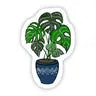 Houseplant - Blue Pot -  - Big Moods - Wild Lark