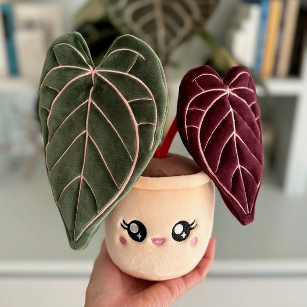 Blushiez Plushies - Anthurium Red Crystallinum - Blushiez - Wild Lark