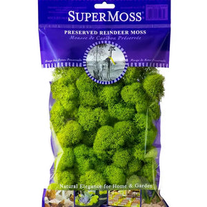 Reindeer Moss Preserved 2oz Bags -  - SuperMoss - Wild Lark