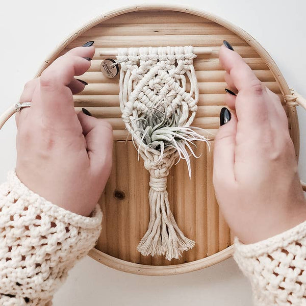 Mini Magnet Macrame Air Plant Holder -  - A Branch & Cord - Wild Lark
