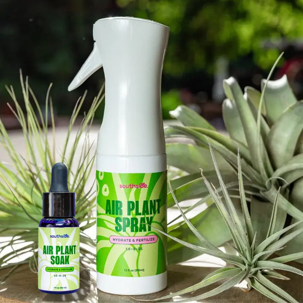Air Plant Fertilizer - Spray and Soak - - Southside. - Wild Lark