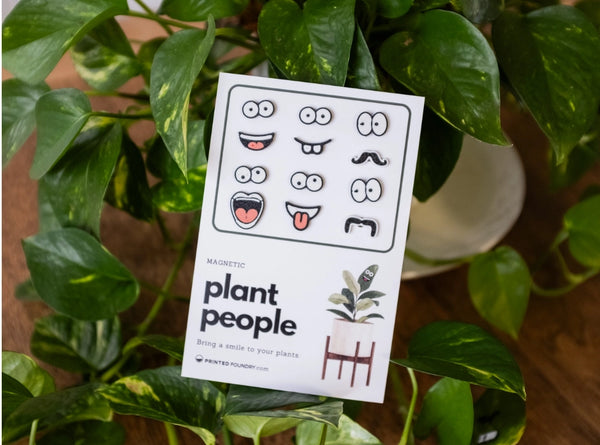 Magnetic Plant Faces | Magnet Charms For Indoor Plants -  - The Plant Supply - Wild Lark