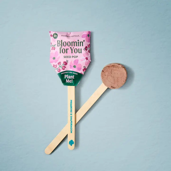 Seed Pops - Bloomin' For You - Modern Sprout - Wild Lark