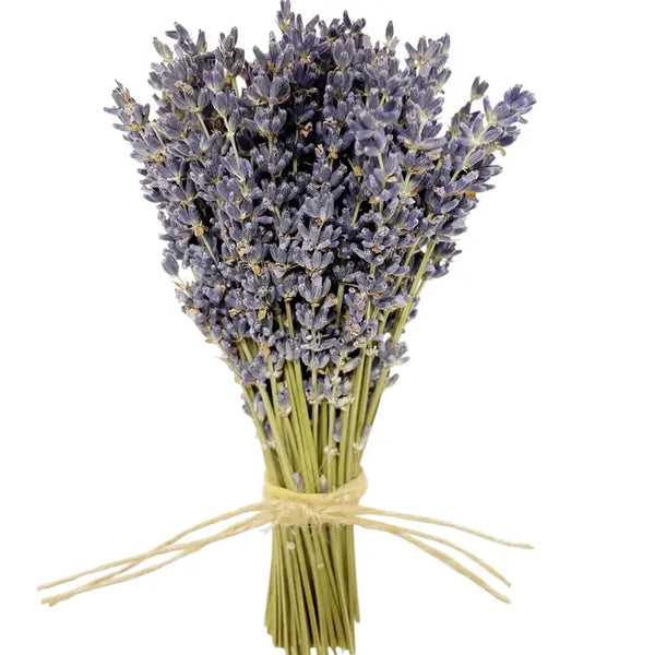 MINI French Lavender Bundle -  - Andaluca - Wild Lark