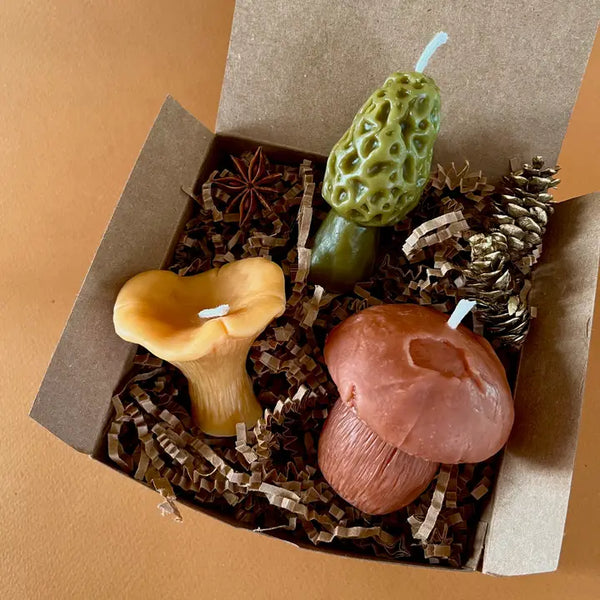 Colorful Mushroom Candles - - Wicksburgh - Wild Lark