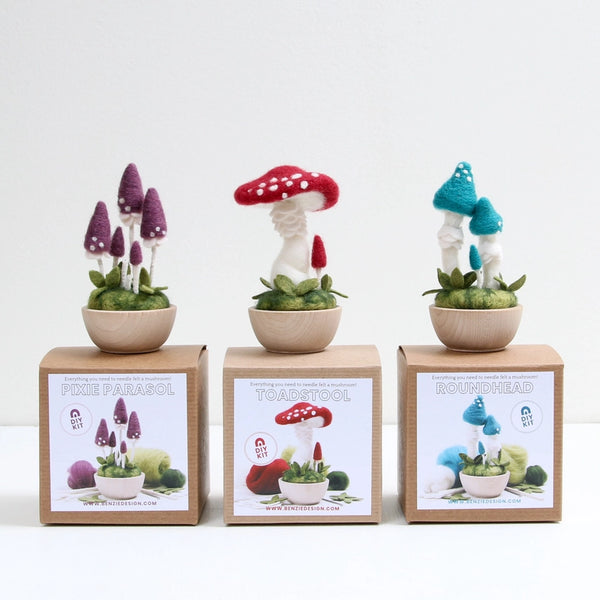 Needle Felting Kit -  - Benzie Design - Wild Lark