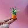 Air Plant + Mini Planter - Saffron - O'Berry's Succulents - Wild Lark