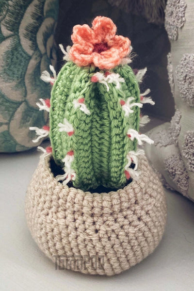 Crochet Plant - Cactus - orange flower - Tomopod - Wild Lark