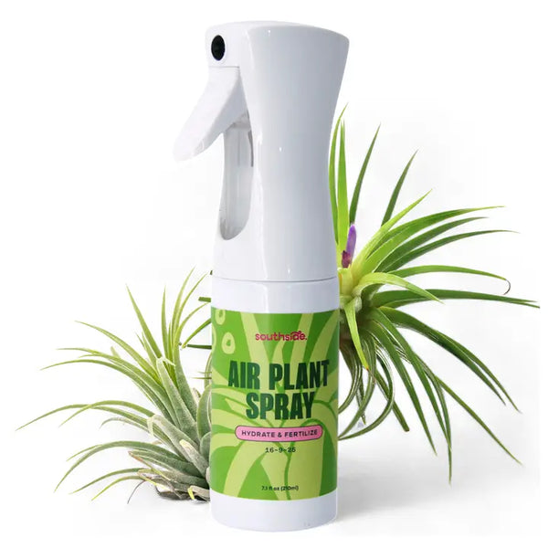 Air Plant Fertilizer - Spray and Soak - - Southside. - Wild Lark