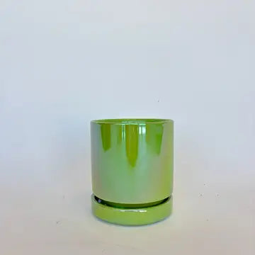 6.5" Gemstone Pot - with Water Saucer