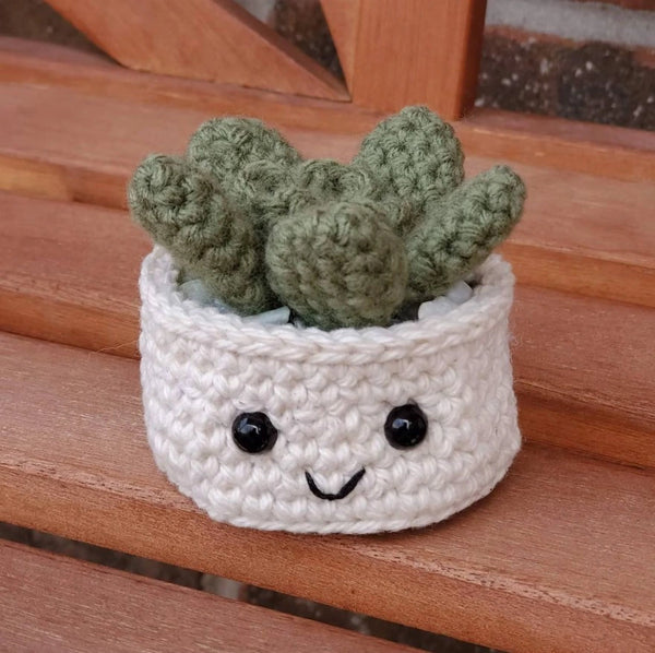 Crochet Plant - Baby Jade - Tomopod - Wild Lark