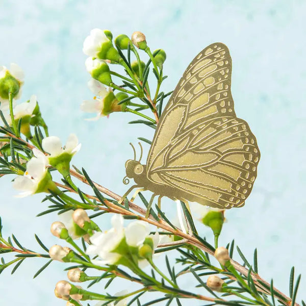 Plant Animal - Butterfly - Another Studio for Design Ltd - Wild Lark