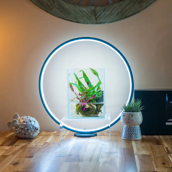 Circle Full Spectrum Plant Grow Light w/ Display Stand, for 15.8 inch Diameter Circle LED w/ Mini Nano Shallow Tank -  - HIRO AQUATICS - Wild Lark