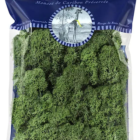 Reindeer Moss Preserved 2oz Bags -  - SuperMoss - Wild Lark