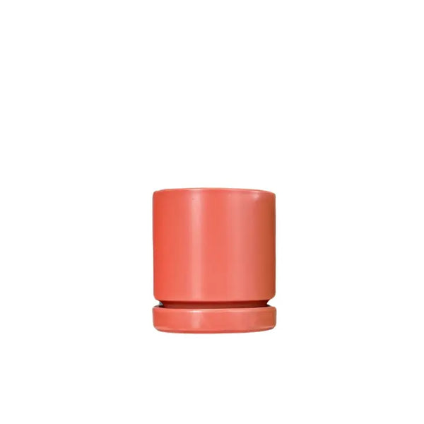 6.5" Gemstone Pot - with Water Saucer