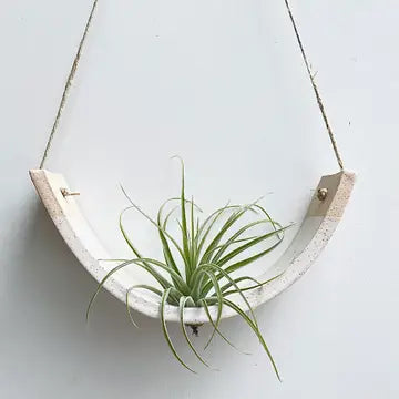 Hanging Air Plant Cradles - White Speckled Buff / Small - Mudpuppy Ceramic Studio - Wild Lark