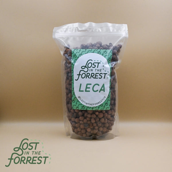 Litf Leca - - Lost in the Forrest - Wild Lark