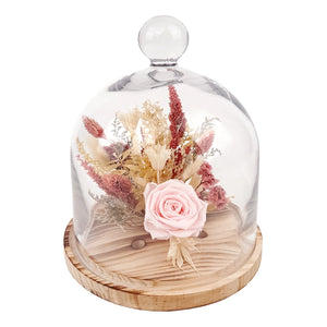 10" Pink Preserved Rose Botanical Cloche -  - Andaluca - Wild Lark