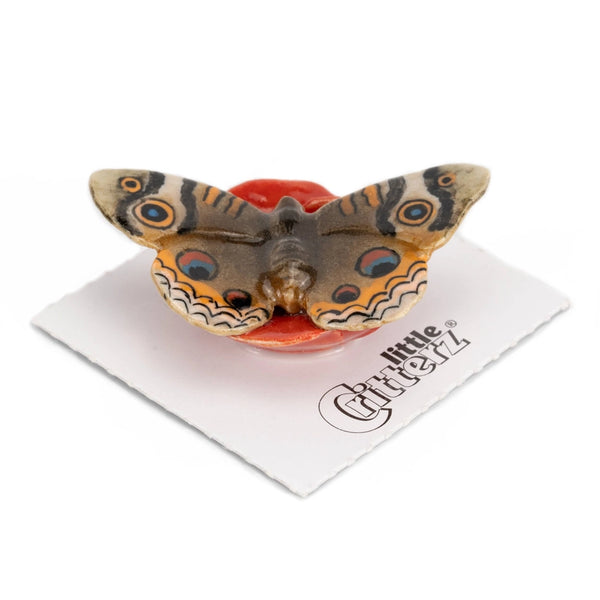 Porcelain Miniature Critters - Junonia Buckeye Butterfly - Little Critterz - Wild Lark