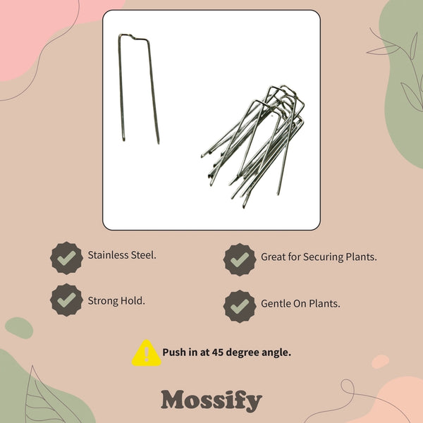 Floral Pins - Greening Pins - Pins For Moss Poles - - Mossify - Wild Lark