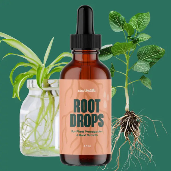 Root Drops- For Propogations & Repotting - - Southside. - Wild Lark
