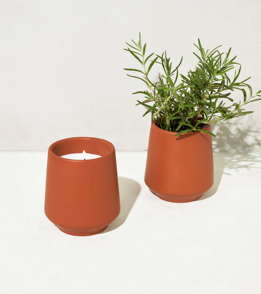 Rosemary & Cucumber Rooted Candle -  - Modern Sprout - Wild Lark