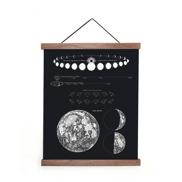 Vintage Astronomy Moon Map and Venus Print -  - Curious Prints - Wild Lark