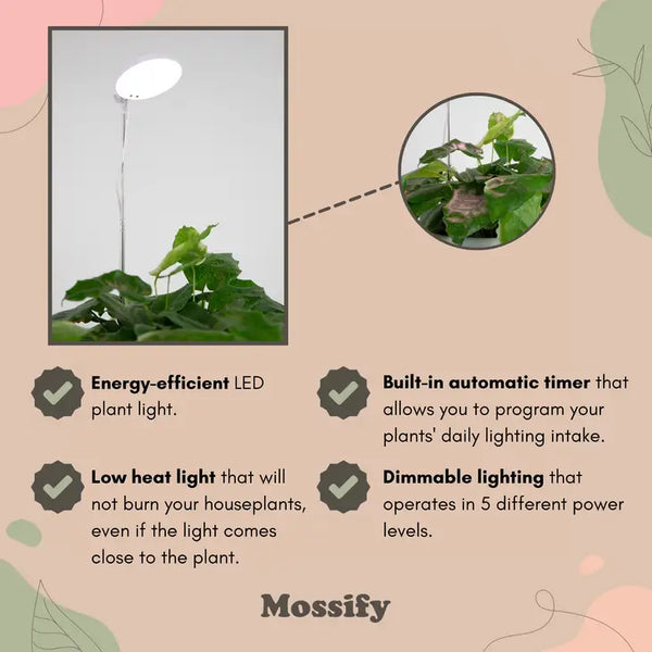 Adjustable LED Plant Light -  - Mossify - Wild Lark