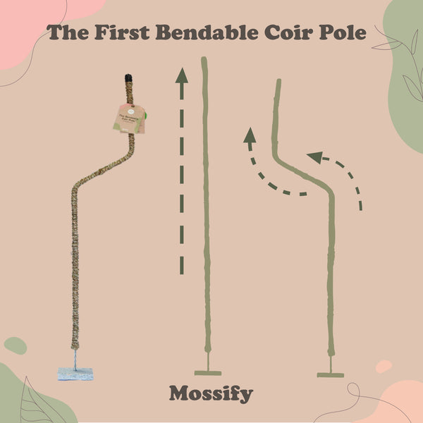 Bendable Coir Pole - Medium 30 inch - Mossify - Wild Lark