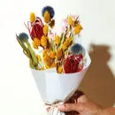 Mini Dried Flower Bouquet - Rainbow - Idlewild Floral Co - Wild Lark