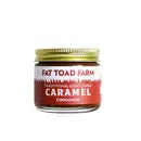 Goat's Milk Caramel Jar - Cinnamon - 2oz - Fat Toad Farm - Wild Lark