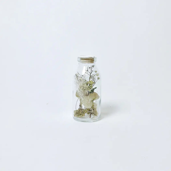 Dried Florals in Glass - White | Harapan 100mL - Field Of Hope - Wild Lark