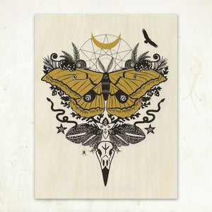 Silk Moth Wood Print (8.5x11) -  - Little Gold Fox Designs - Wild Lark