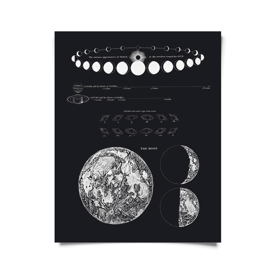 Vintage Astronomy Moon Map and Venus Print -  - Curious Prints - Wild Lark