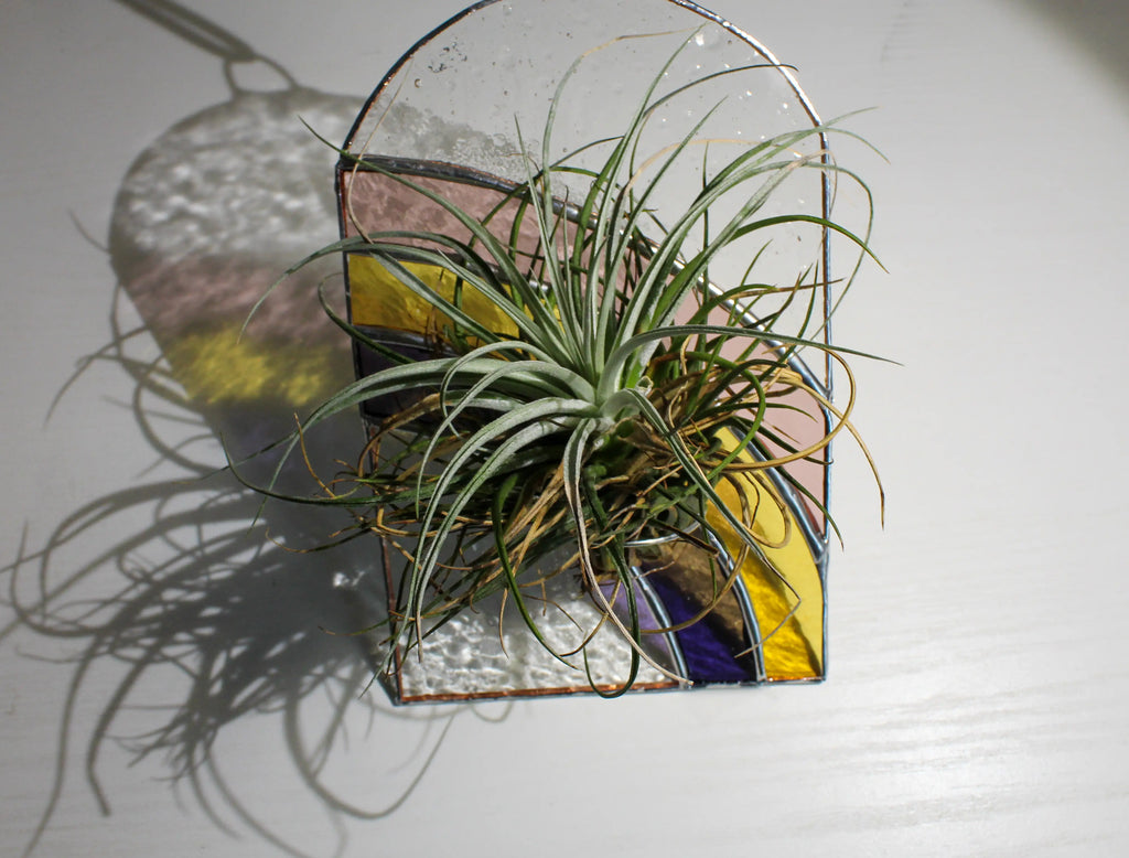 stained glass air plant holder Rainbow Stained Glass