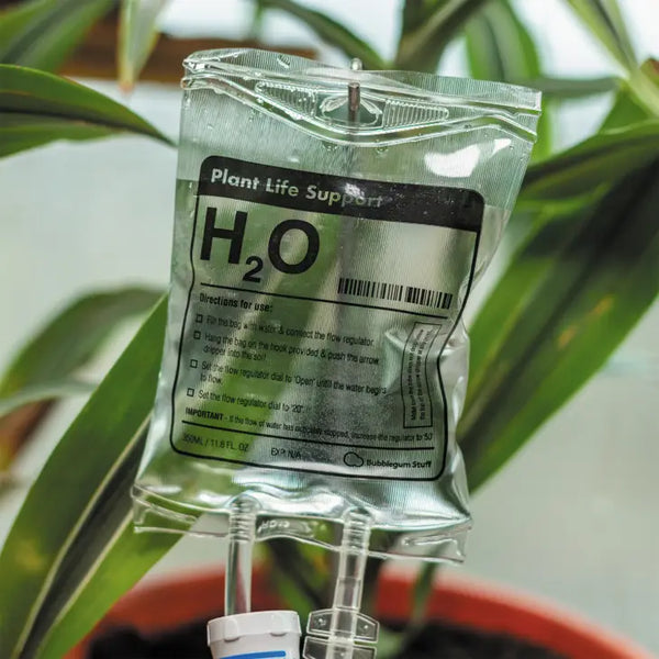 Plant Life Support Houseplant Watering Device -  - Bubblegum Stuff US - Wild Lark