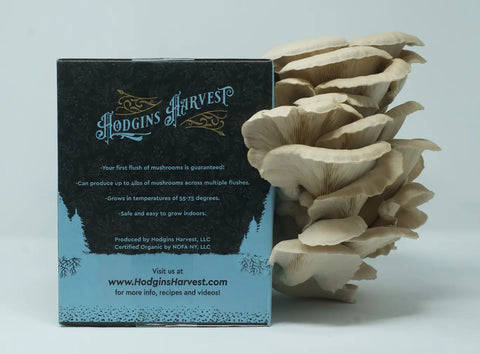 Organic Mushroom Grow-Your-Own Kits - Oyster - Hodgins Harvest - Wild Lark