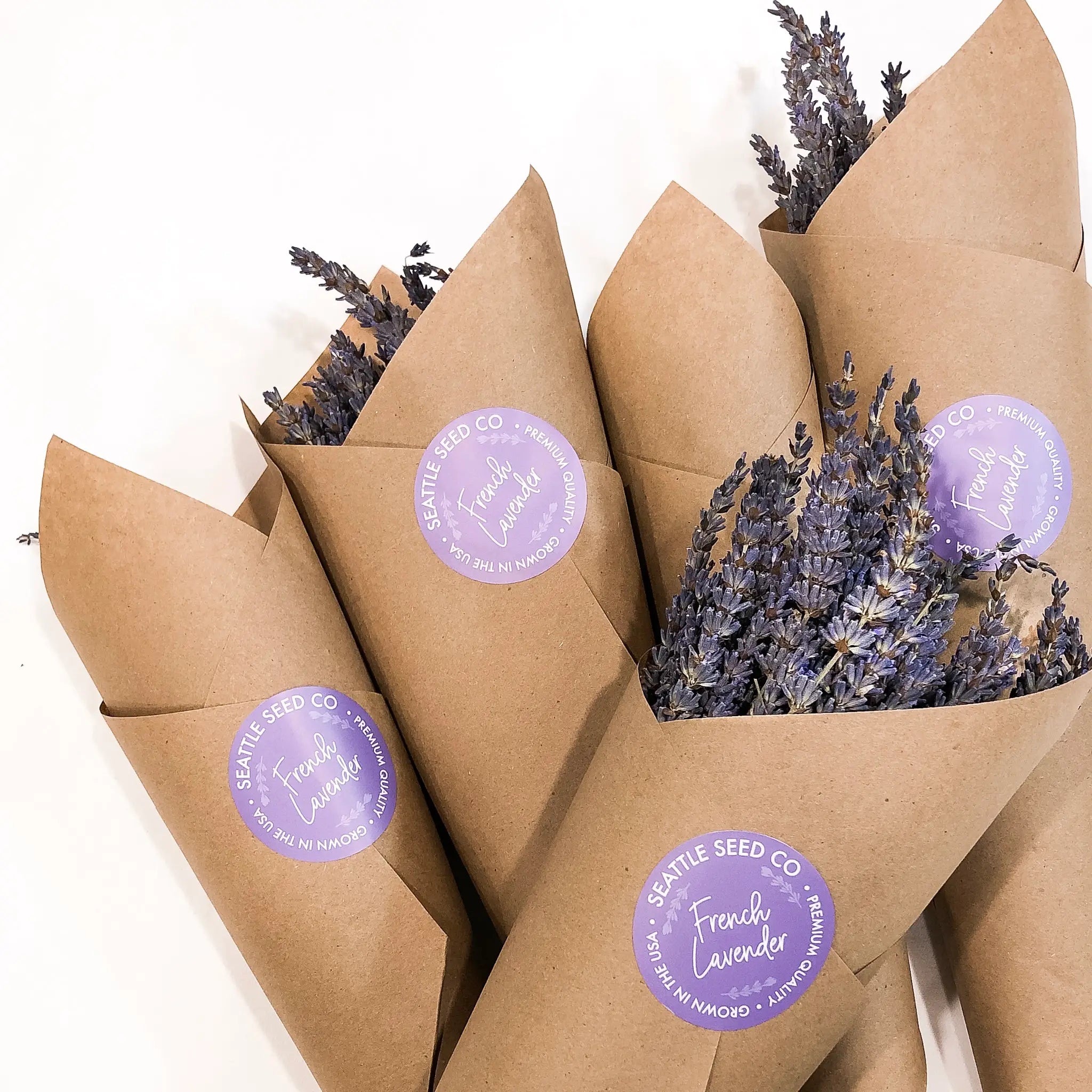 Dried Lavender Bundle -  - Seattle Seed Co. - Wild Lark