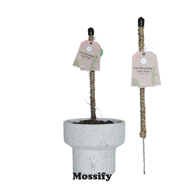 Bendable Coir Pole - Small 16 inch - Mossify - Wild Lark