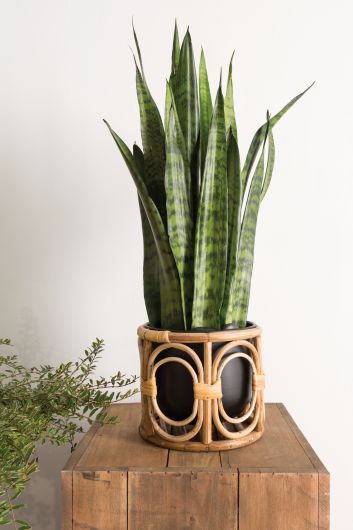 Black + Rattan Planter -  - Pots and Vases - Wild Lark